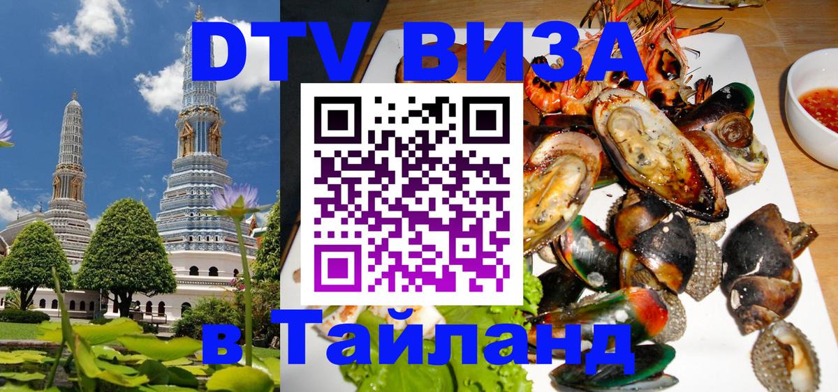 Сколько стоит DTV виза — актуальные цены, оформление даже без документов - Тверь  08.01.2026 